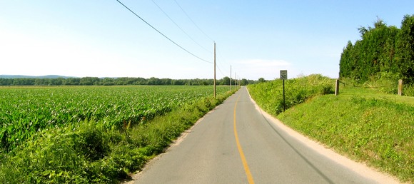 Yellow-lined road with a cornfield on the left and a speed limit sign reading 30 on a grassy bank to the right.