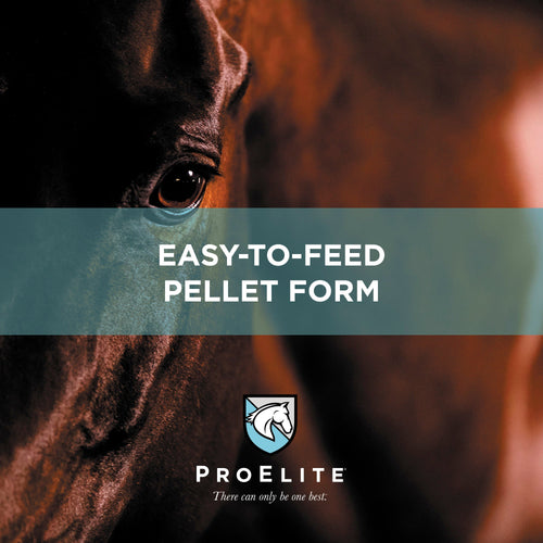 ProElite® Sweat