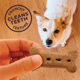 Old Mother Hubbard Crunchy Classic Natural BacNCheez Biscuits Dog Treats