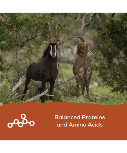 Record Rack® Antlers Plus Deer and Exotics