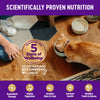 Wellness Complete Health Natural Adult Grain Free Deboned Chicken and Chicken Meal Dry Cat Food