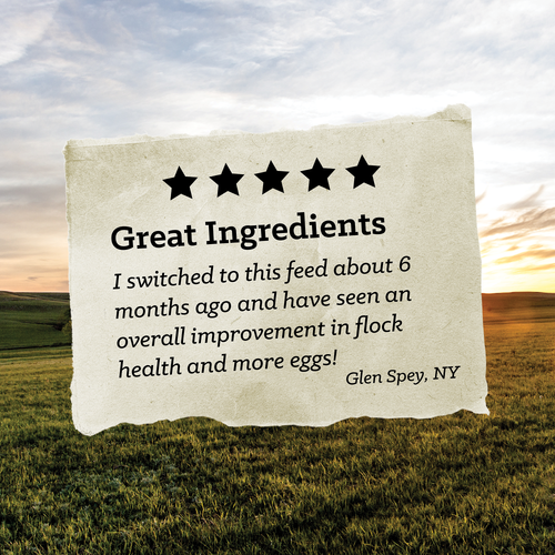 NatureWise® All Flock 20% Protein Crumble