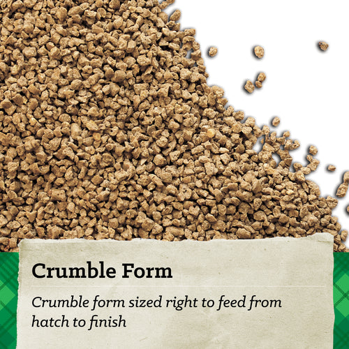 NatureWise® All Flock 20% Protein Crumble