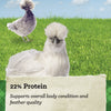NatureWise® 22% Protein Silkie & Ornamental Layer Clean Crumb™ Poultry Feed