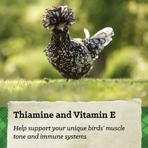 NatureWise® 22% Protein Silkie & Ornamental Layer Clean Crumb™ Poultry Feed