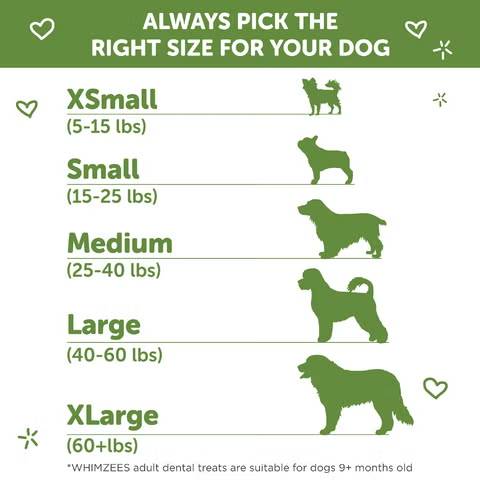 Whimzees Stix XS Dog Treats